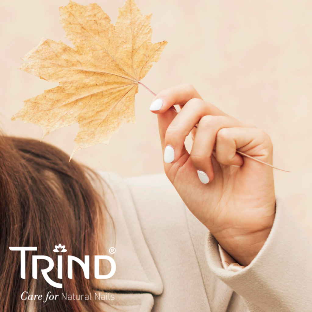 TRIND Caring Color_Cool Cotton CC264