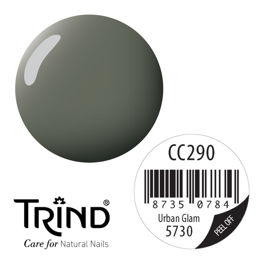 TRIND Caring Color_Urban Glam CC290
